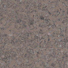 Линолеум Tarkett iq Megalit GRAPHITE BROWN 0621 фото 1 | FLOORDEALER